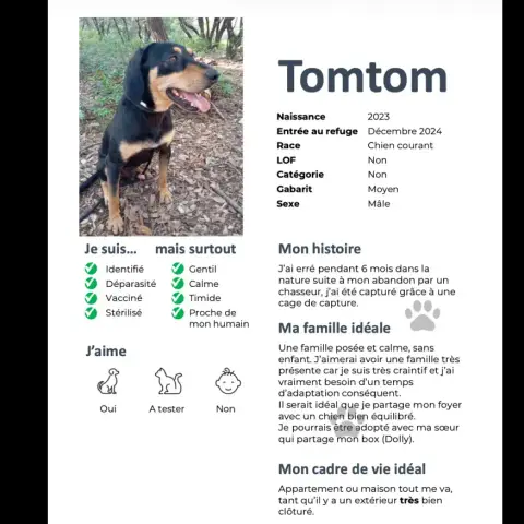 Tomtom