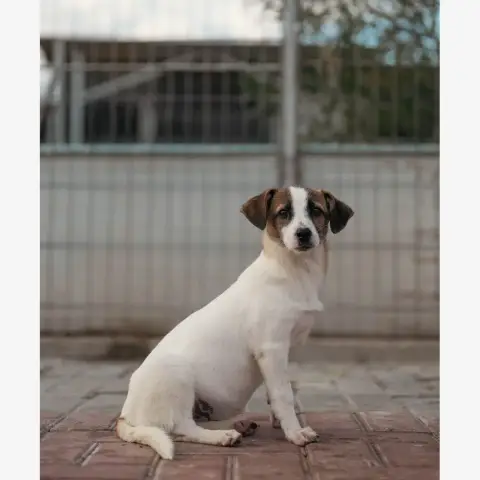 Mailis photo 2