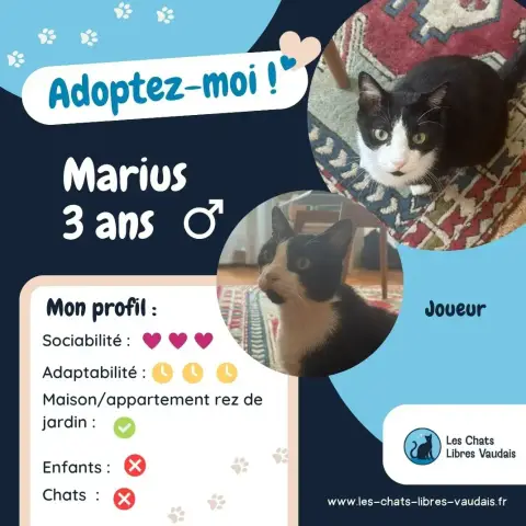 Marius photo 3