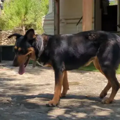 Luna