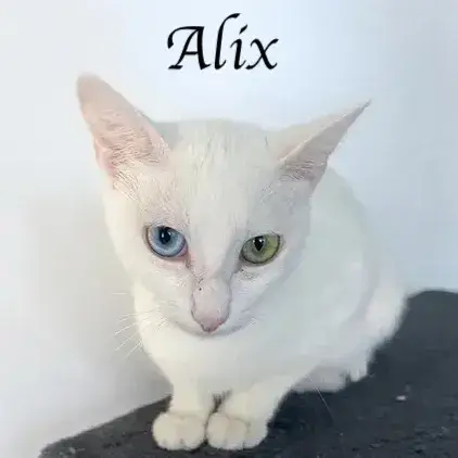 Alix