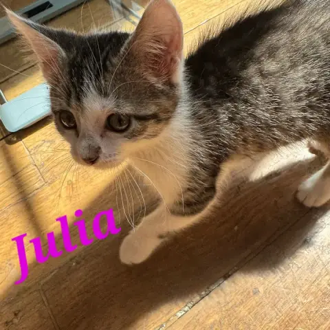Julia photo 3
