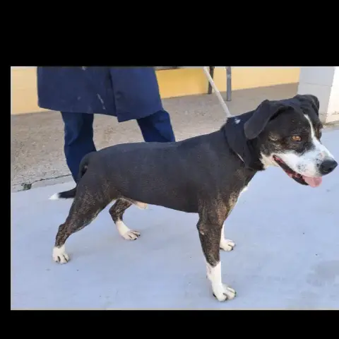 Walter photo 3