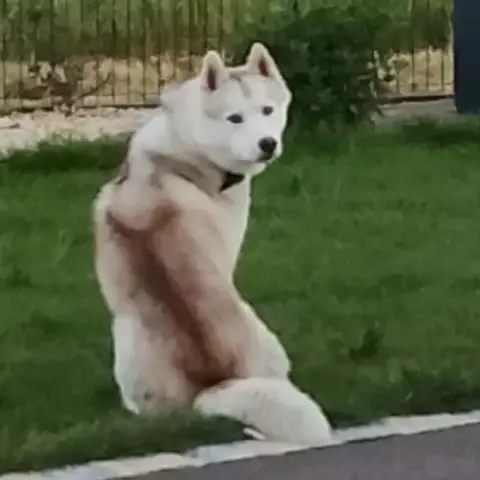 Valco