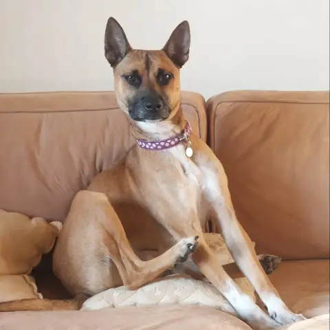 Aïko photo 3