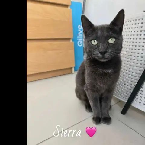 Sierra