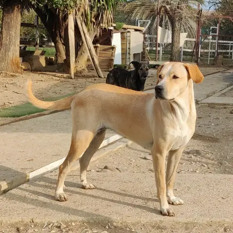 Brenda photo 3