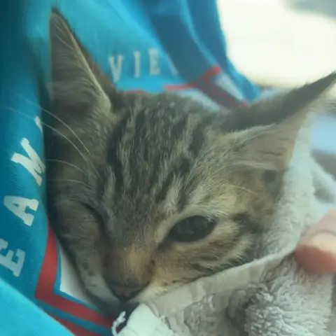 Kimi photo 2