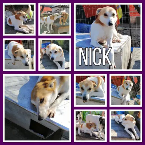 Nick