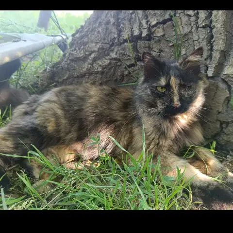 Katell photo 3