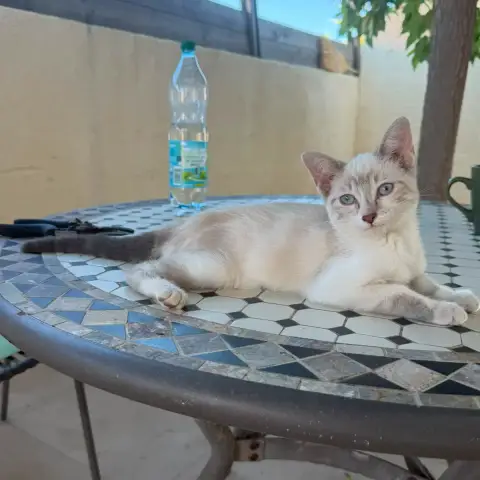 Moi
