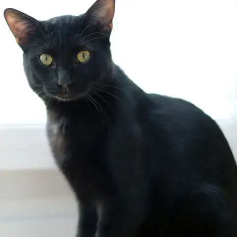 Aruki photo 3