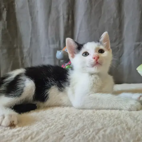 Winnie