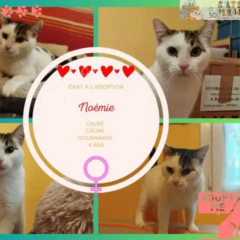 Noemie