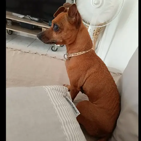 Roxy La Coquine