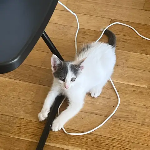 Bella
