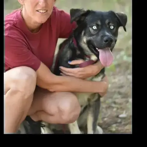 Koda photo 3