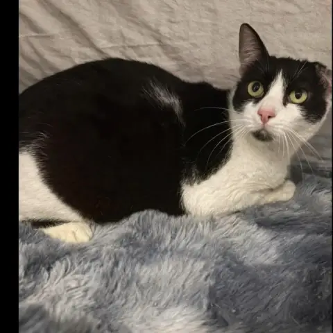 Ella