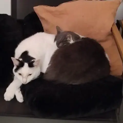 Aliocha Et Milane photo 3