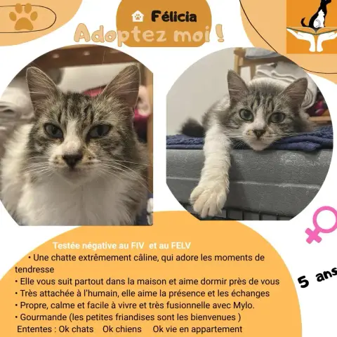 Félicia