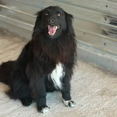 Lunna