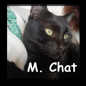 Monsieur photo 3