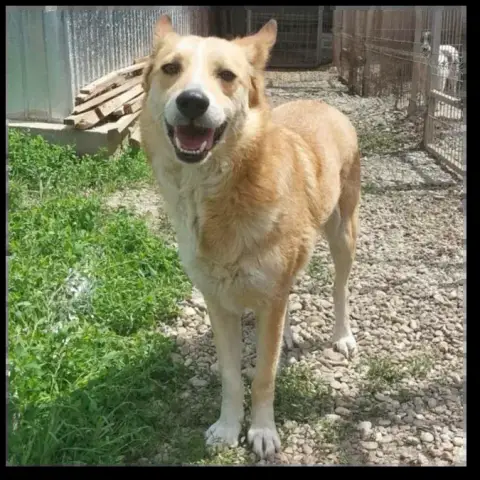 Hope photo 3