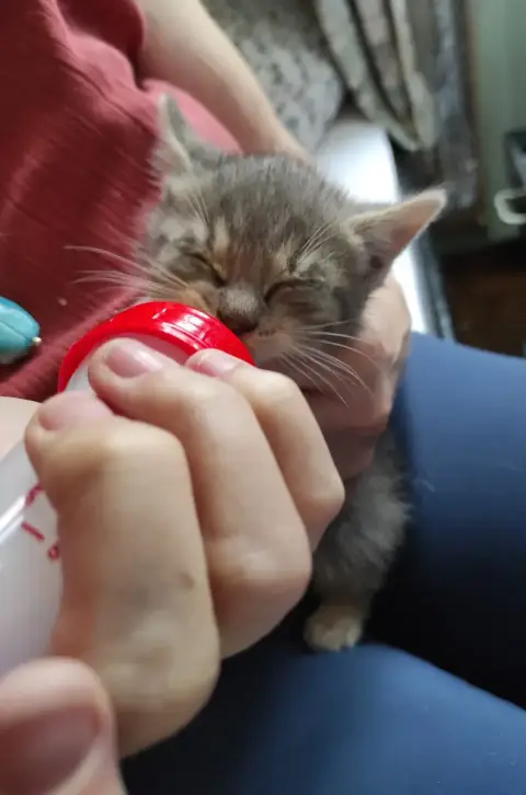 Tina