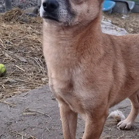 Leyo
