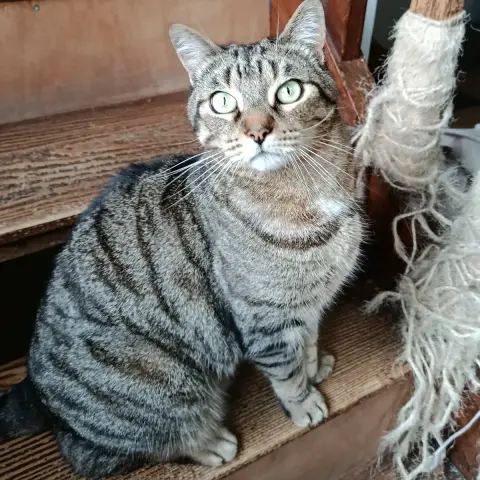 Néron Et Néo photo 2