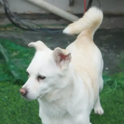 Bai Ming Yue photo 2