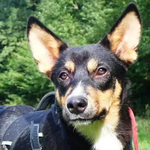 Vito photo 2