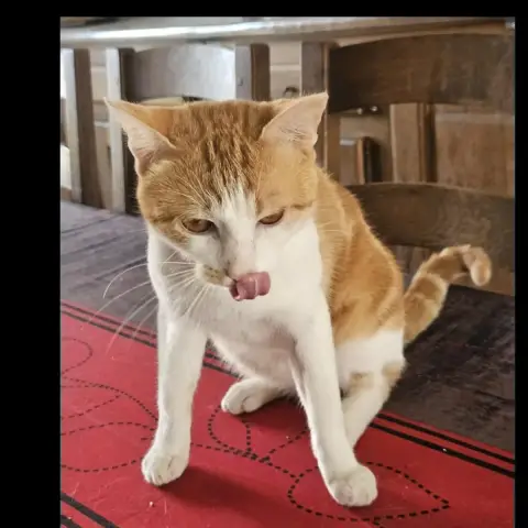 Alabama