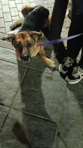 Luna photo 2