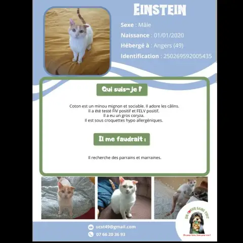 Einstein