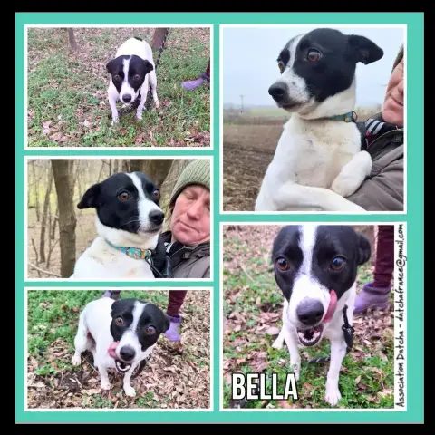 Bella