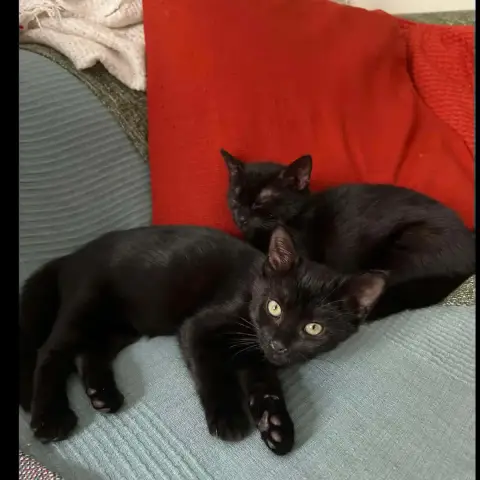 Selma & Colette photo 2