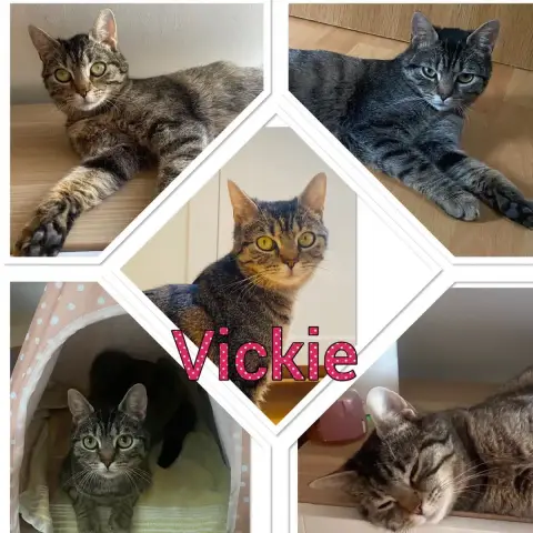 Vickie