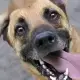 Junior