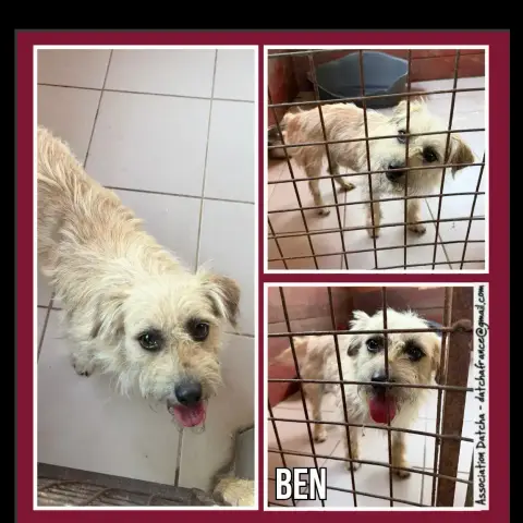 Ben