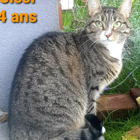 Sissi photo 2