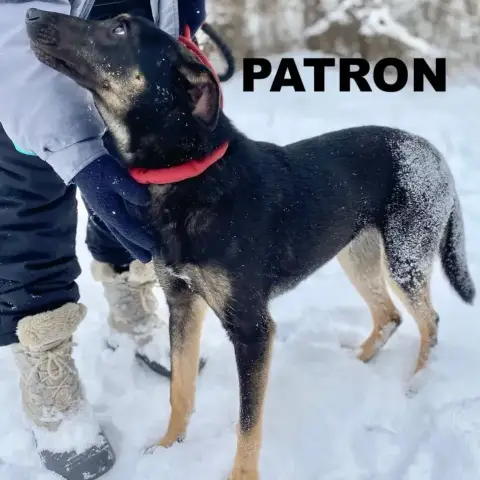 Patron photo 2