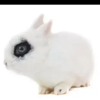 Gary