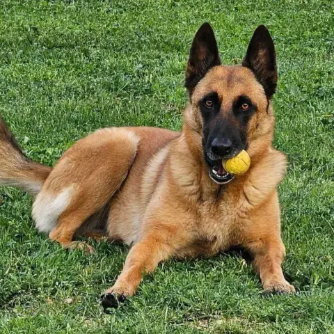 Salsa