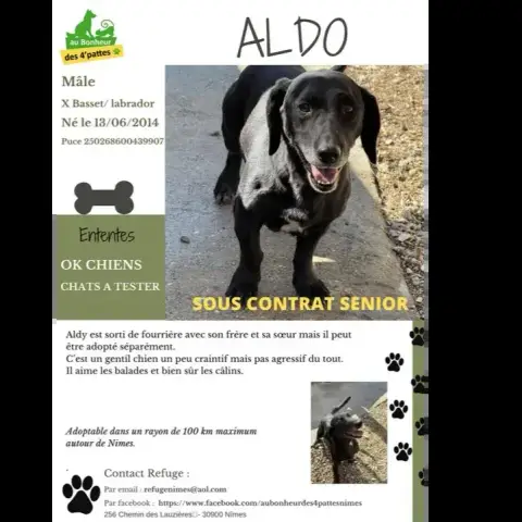 Aldo