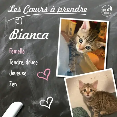 Bianca