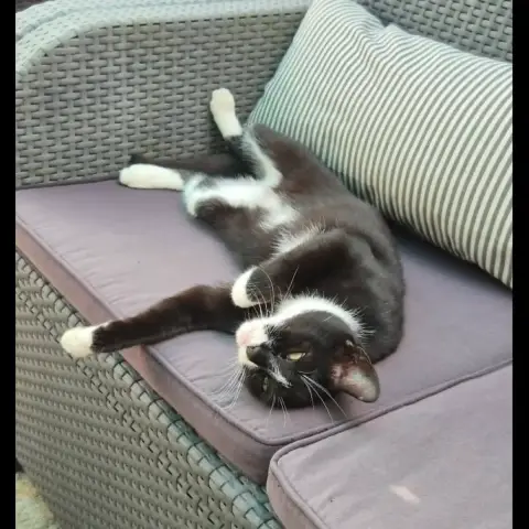 Cally photo 2
