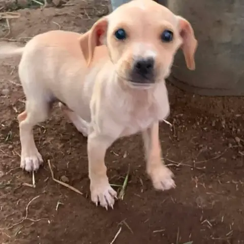 Marley