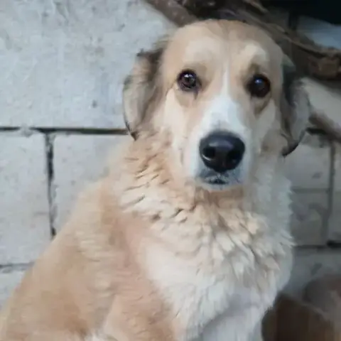 Hope