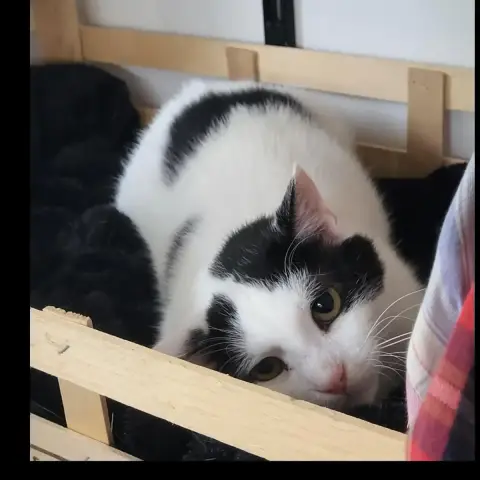 Luna Et Mimi photo 3